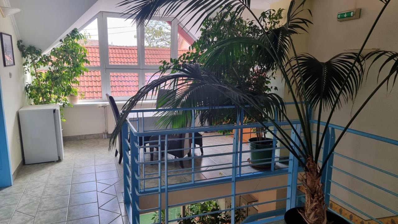 Club Haus 502 Kalocsa Bed & Breakfast ภายนอก รูปภาพ